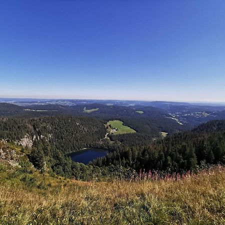 Fewo 1 - Residenz Schauinsland - Mit Sauna, E-Ladestation, Todtnauberg, Bei Feldberg Exterior photo
