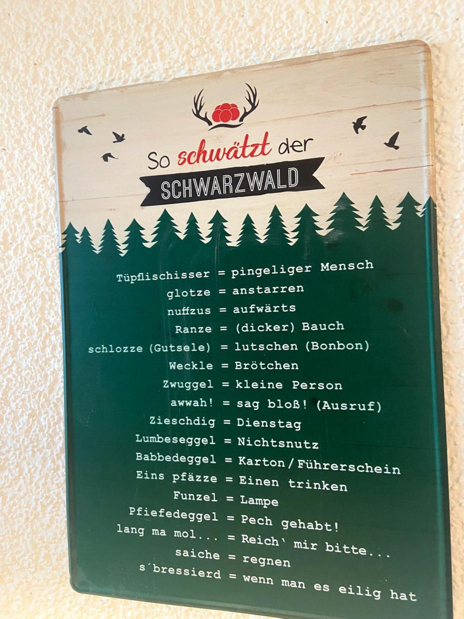 Fewo 1 - Residenz Schauinsland - Mit Sauna, E-Ladestation, Todtnauberg, Bei Feldberg Exterior photo
